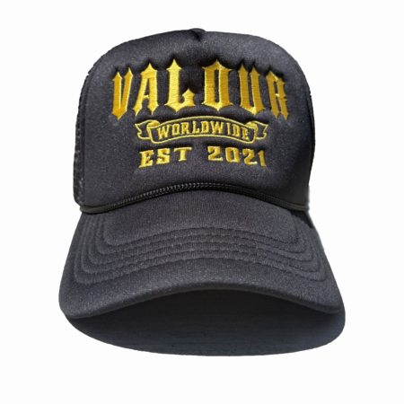 Steelers Worldwide Cap